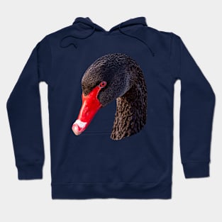 Head of a majestic Black Swan Hoodie